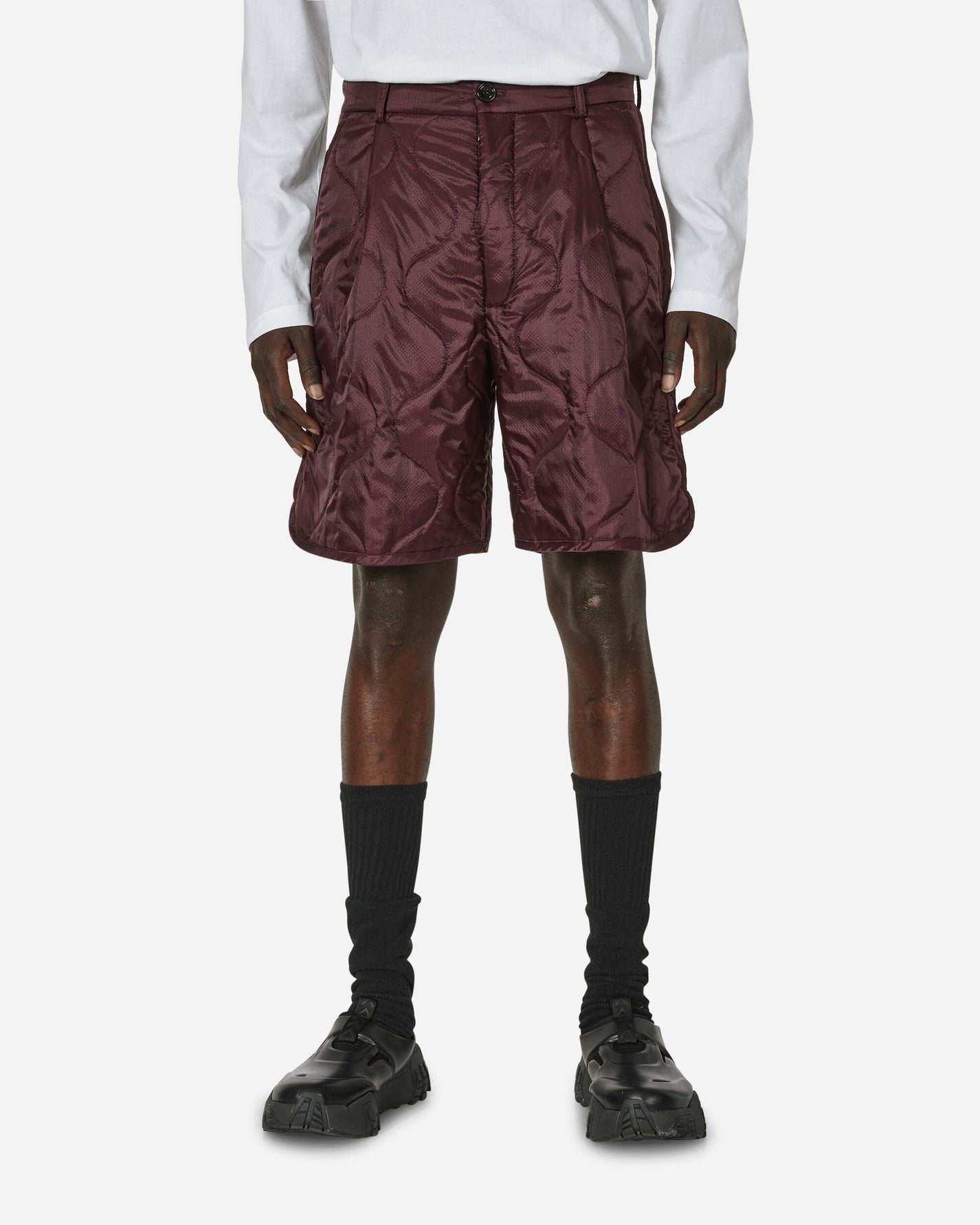 Dries Van Noten Pinlow Pants Auber Shorts Short 241-020955-8502 357