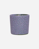 Houseplant Crackle Candle Purple Home Decor Candles HP23CRCKLCANDLEPR PURPLE