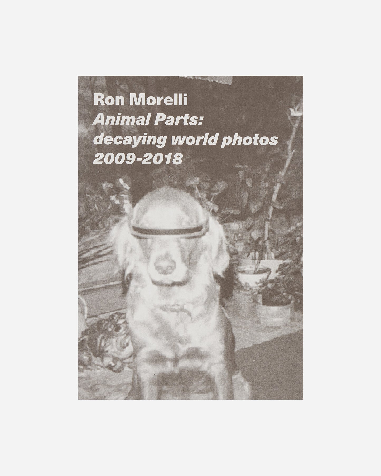 Innen Publishing Ron Morelli Aka L.I.E.S. Multicolor Books and Magazines Books IPMORELLIES 001