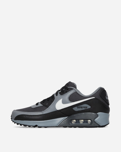 Nike Air Max 90 Gtx Dk Smoke Grey/Summit White Sneakers Low FD5810-002