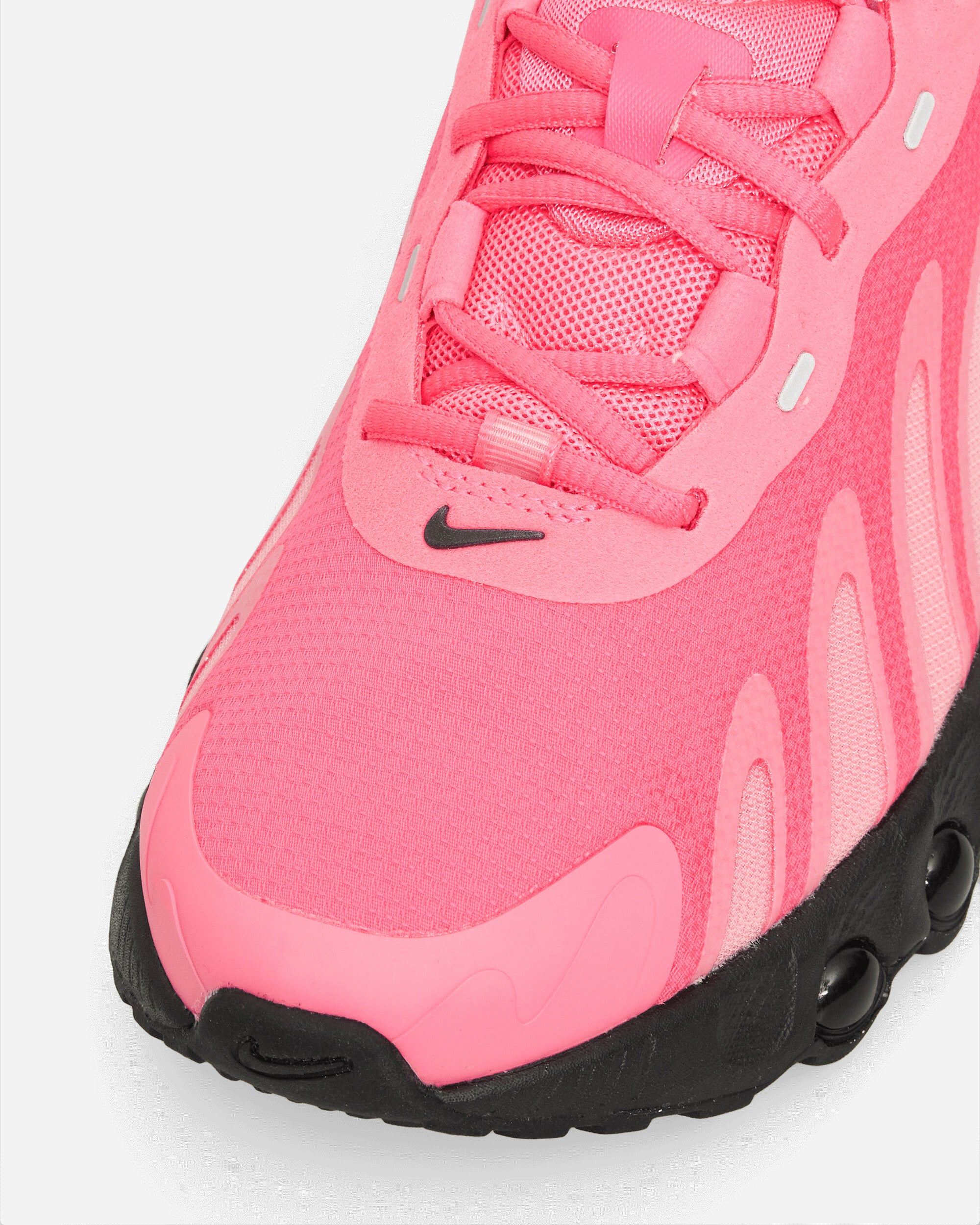 Nike Air Max Dn8 Hyper Pink/Black Sneakers Low FQ7860-600