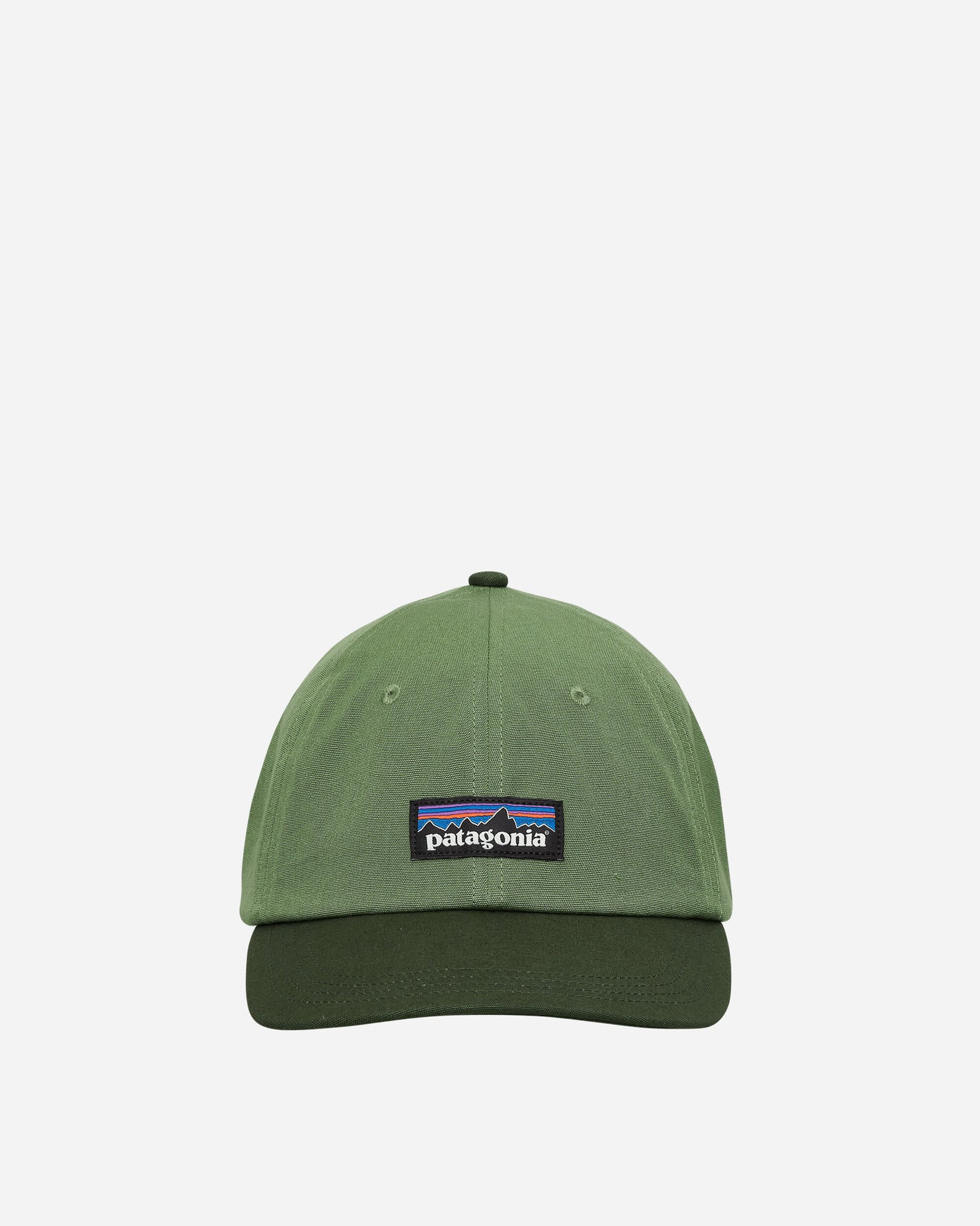 Patagonia P-6 Label Trad Cap Terrain Green  Hats Caps 38296 TNGR