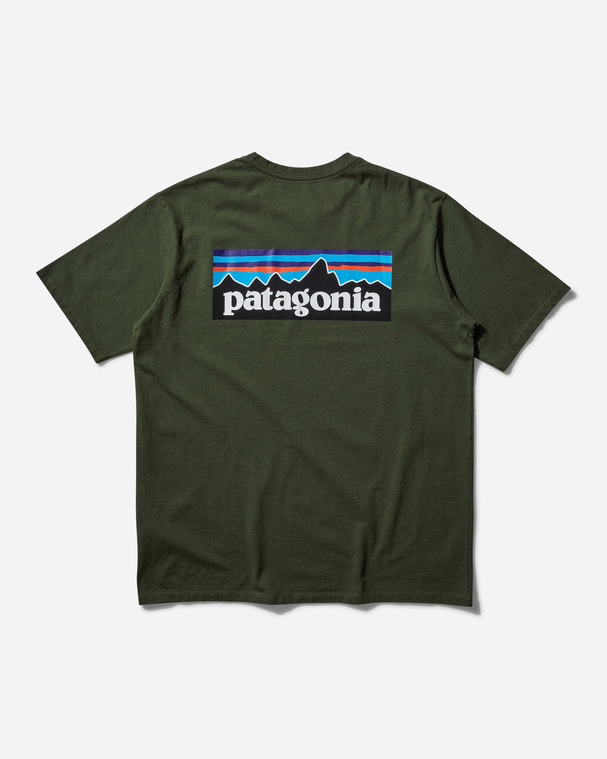 Patagonia M'S P-6 Logo Responsibili-Tee Torrey Pine Green T-Shirts Shortsleeve 38504 TPGN