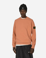 Stone Island Crewneck Sweatshirt Orange Sweatshirts Crewneck 811562420 V0032