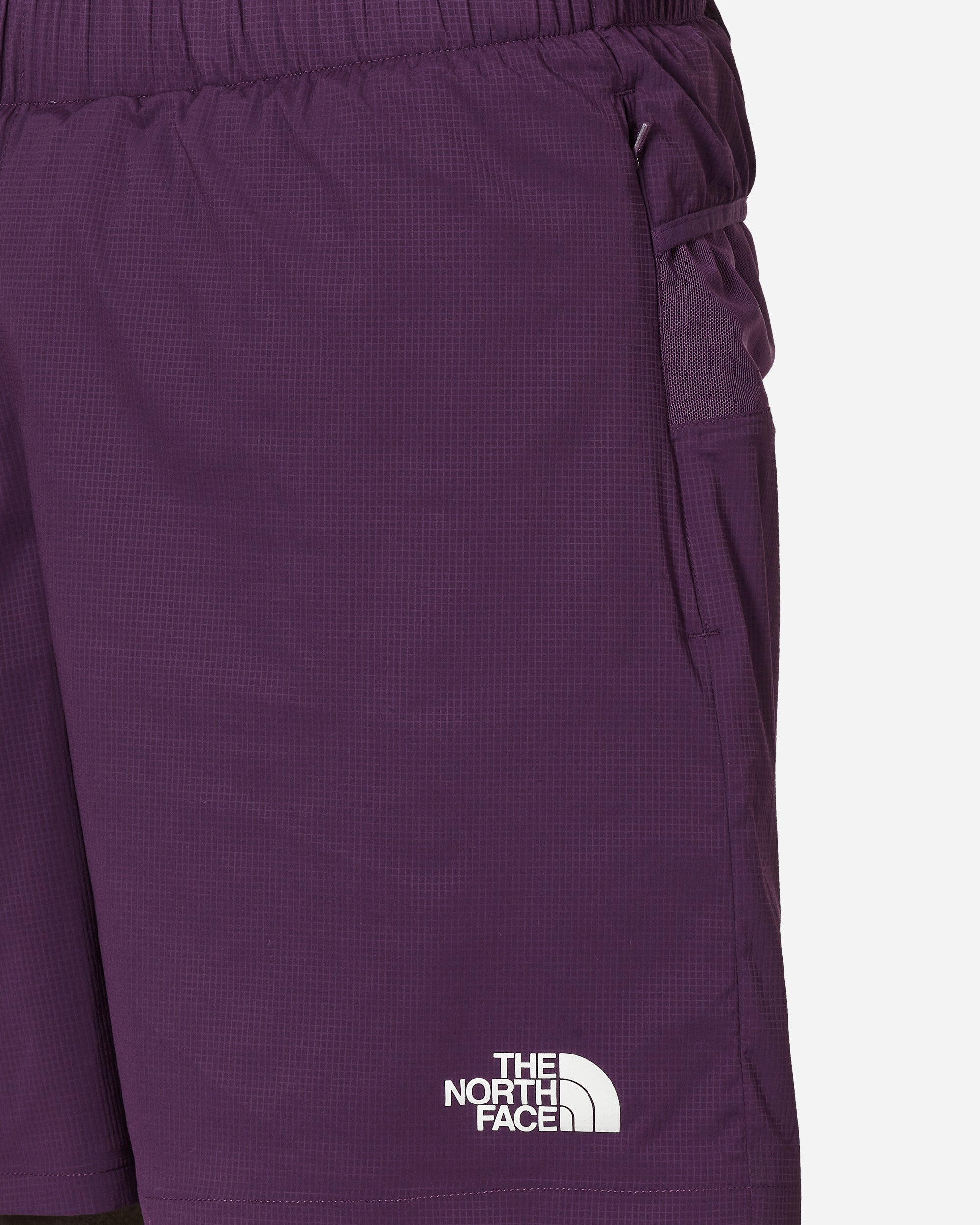 The North Face Project X Tnf X Project U Performance Running Shorts Purple Pennant Shorts Short NF0A87UH WOY1