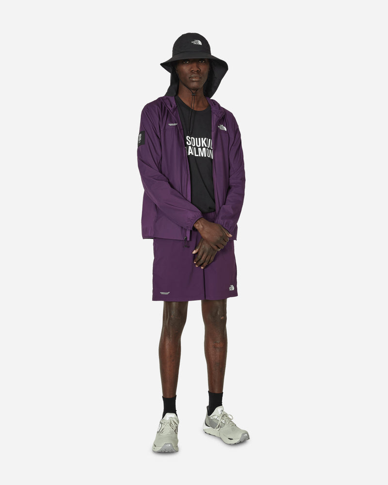 The North Face Project X Tnf X Project U Performance Running Shorts Purple Pennant Shorts Short NF0A87UH WOY1