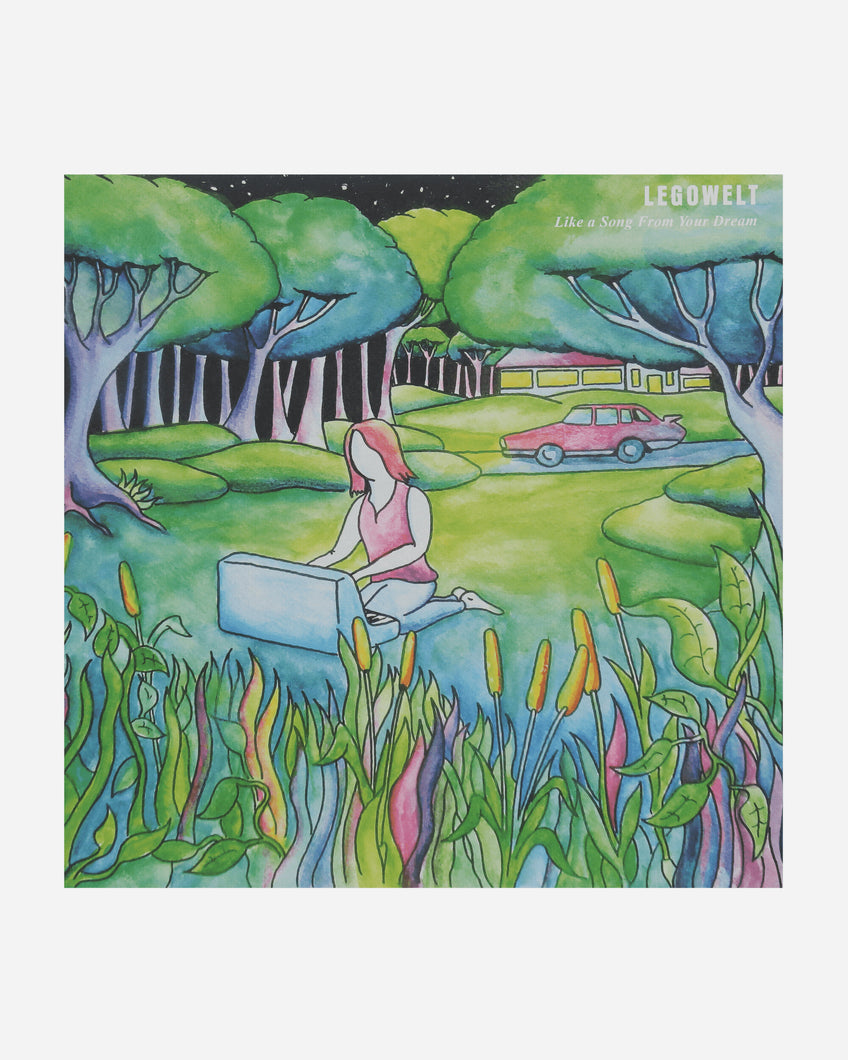 Vinyls Curated by Public Possession Legowelt - Like A Song From Your Dream Multicolor Music Vinyls LIES-206  1