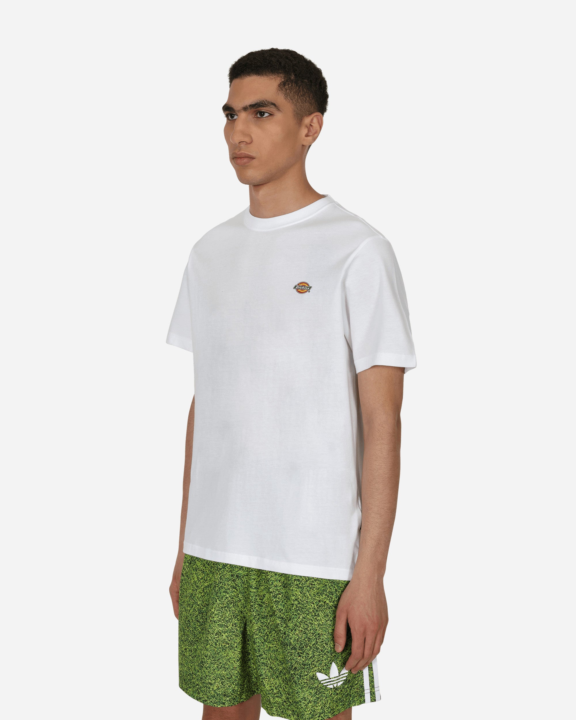 Dickies Ss Mapleton T-Shirt White Shirts Shortsleeve DK0A4XDB WHX1